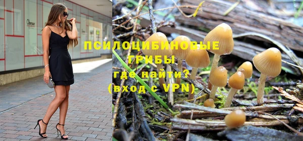 прущие грибы Баксан