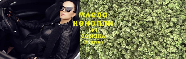 прущие грибы Баксан