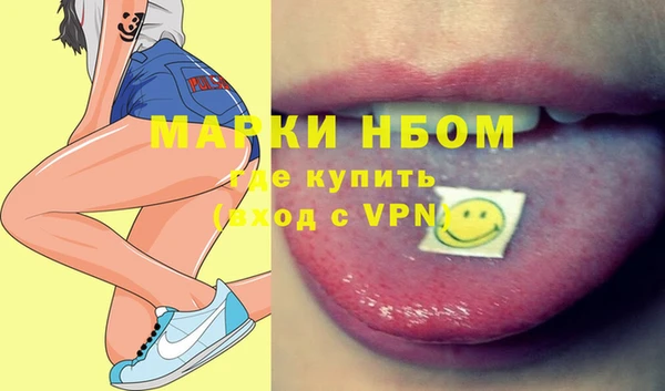 прущие грибы Баксан
